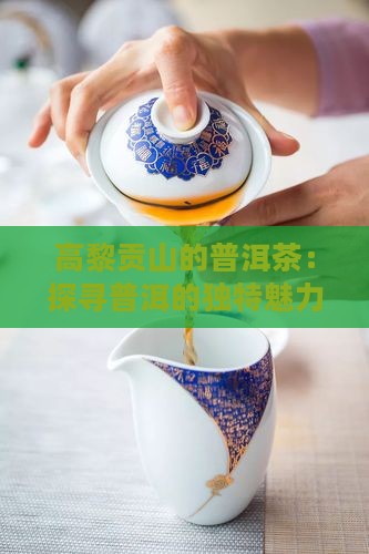 腾冲高黎贡山的普洱茶怎么样