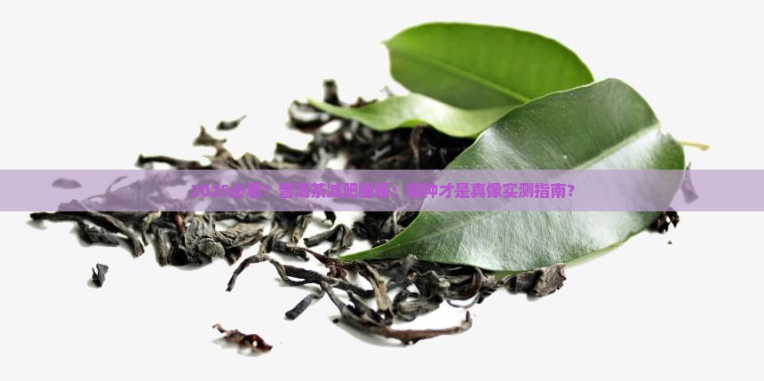 普洱茶哪种好适合减肥喝 普洱茶哪种好适合减肥喝