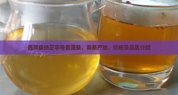 西双版纳正字号普洱茶