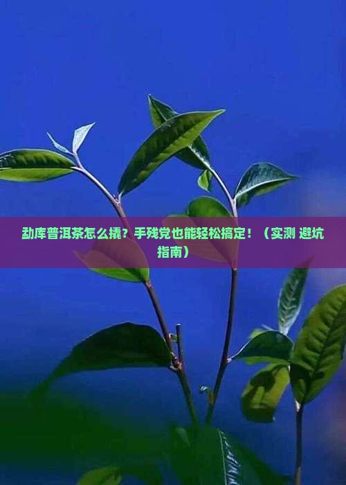 勐库普洱茶怎么撬