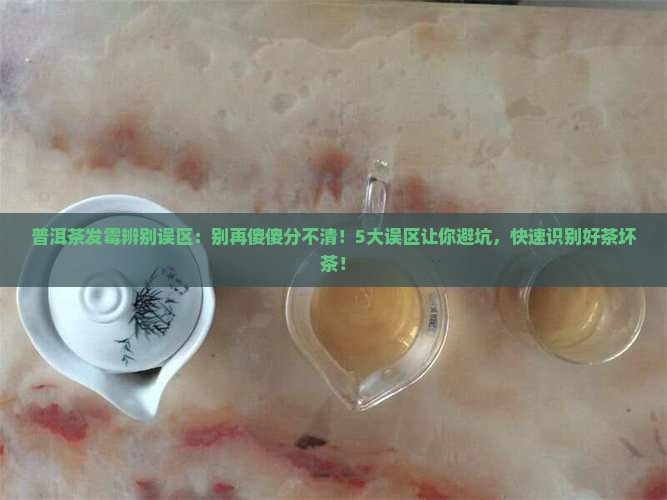 普洱茶发霉辨别误区