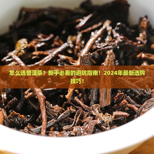 怎么选普洱茶怎样选择普洱茶