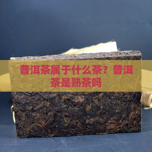 广西普洱茶是熟茶吗