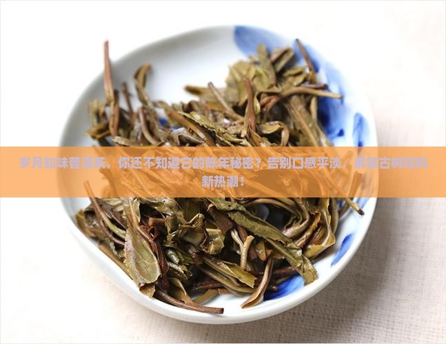 岁月知味普洱茶