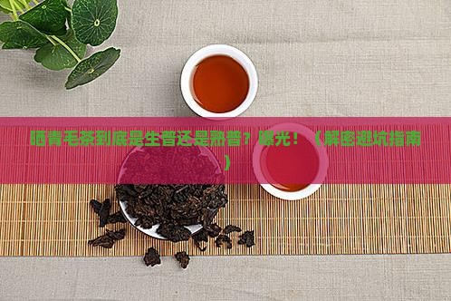 晒青毛茶是生普还是熟普