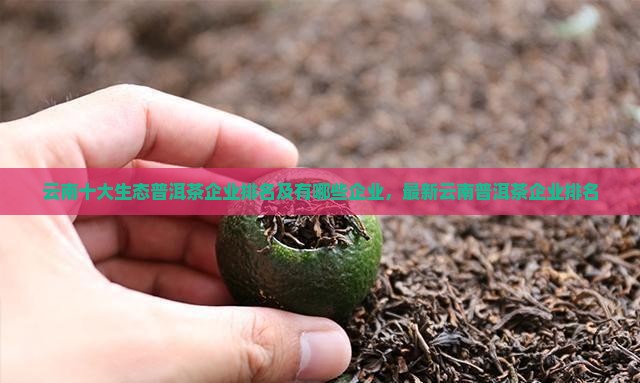云南十大生态普洱茶企业