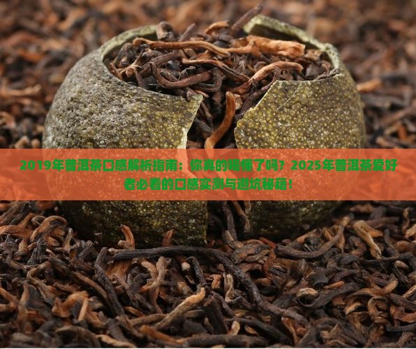 2019年普洱茶口感