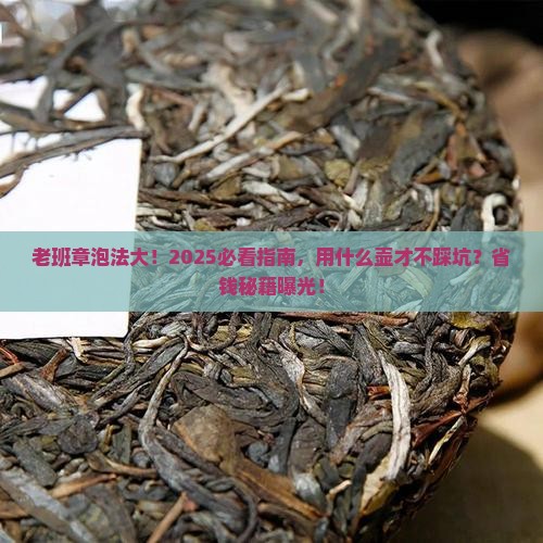 老班章用什么壶来泡