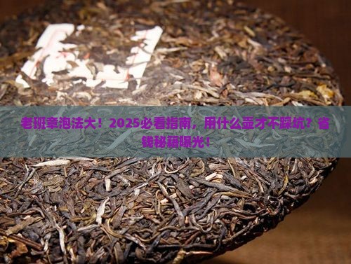 老班章用什么壶来泡