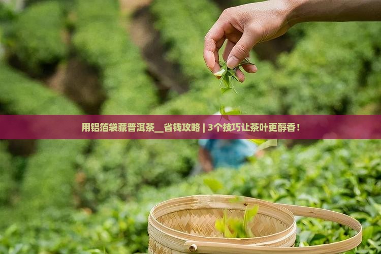 用铝箔袋藏普洱茶 用铝箔袋藏普洱茶