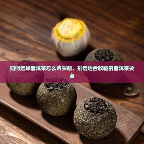 如何选择普洱茶怎么购买藏