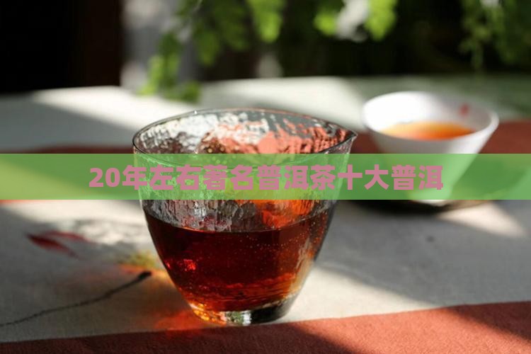 20年左右著名普洱茶