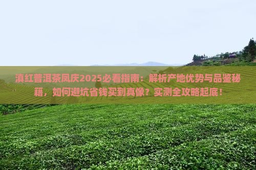 滇红普洱茶凤庆 滇红普洱茶凤庆