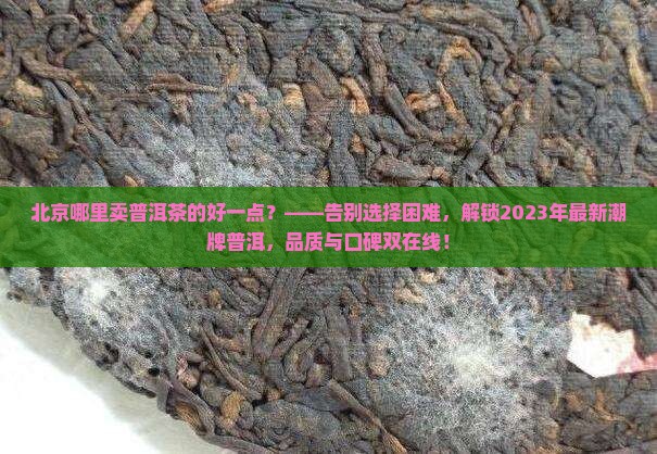 北京哪里卖普洱茶的好一点