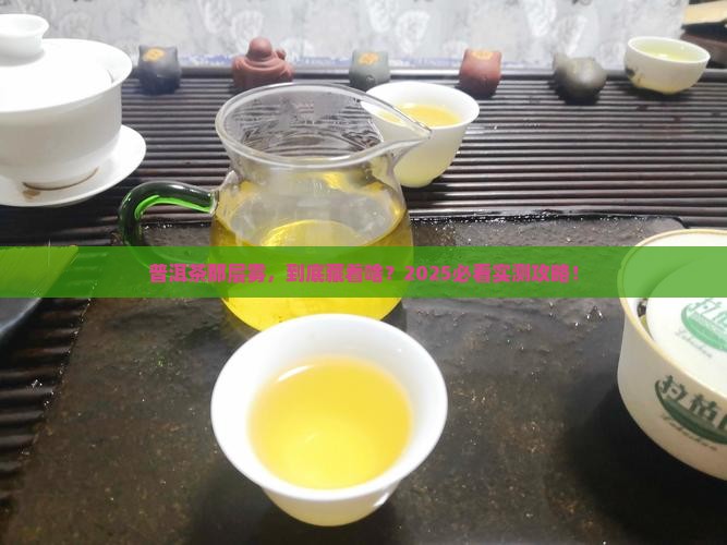 普洱茶有一层雾