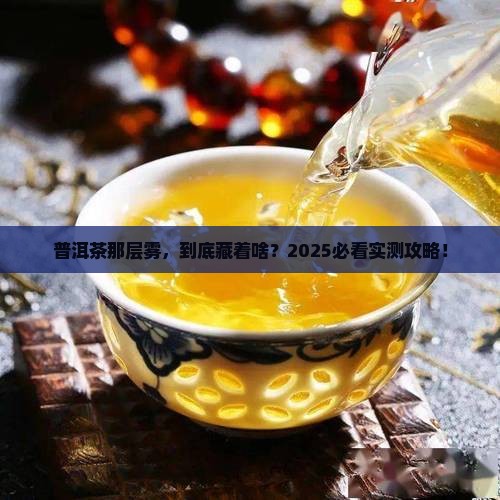 普洱茶有一层雾