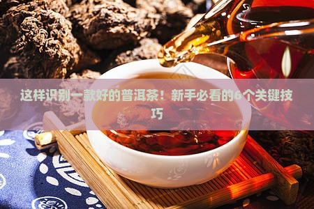 这样识别一款好的普洱茶 这样识别一款好的普洱茶