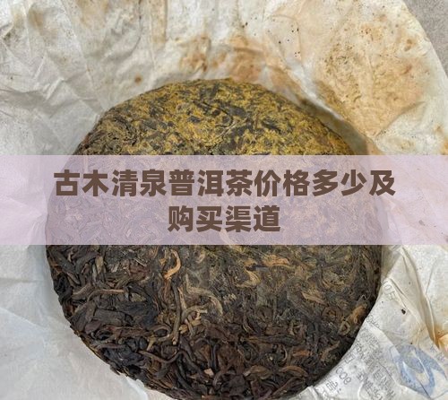 古木清泉普洱茶价格多少