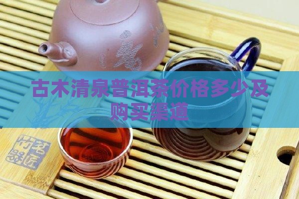 古木清泉普洱茶价格多少