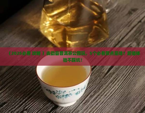 勐县普洱茶公园