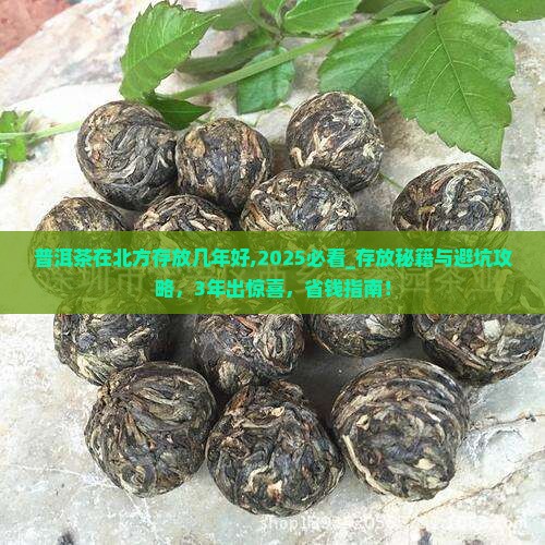 普洱茶在北方存放几年好