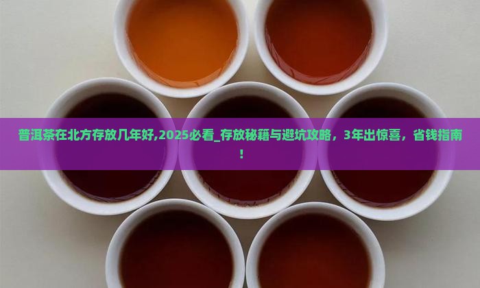 普洱茶在北方存放几年好