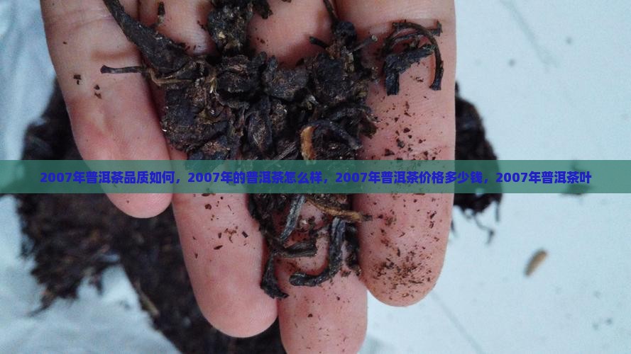 2007年普洱茶品质如何