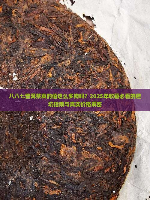 八八七普洱茶价格