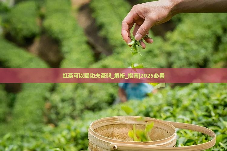 红茶可以喝功夫茶吗