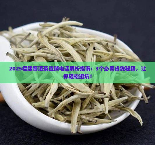 福建普洱茶工厂直销电话