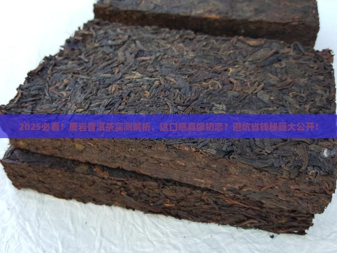 鹿岩普洱茶怎么样