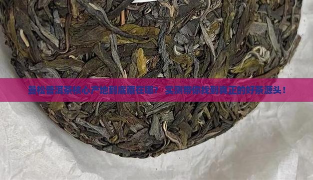 曼松普洱茶核心产地
