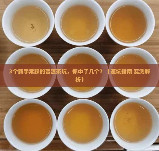普洱茶购买藏及买卖