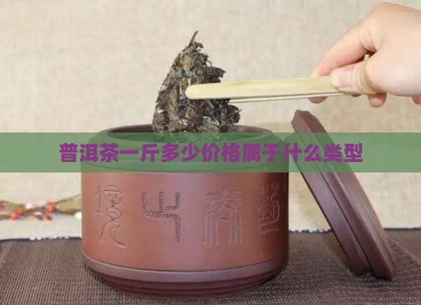 普洱茶500元算那类型的