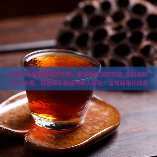 春夏两季喝普洱茶好不好