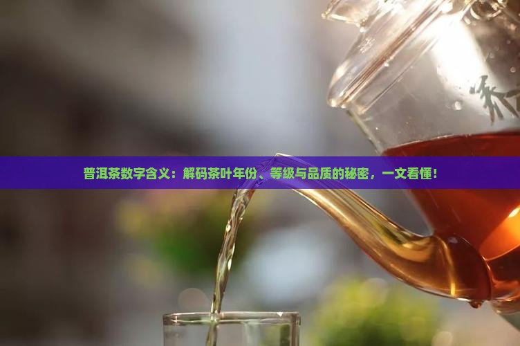普洱茶数字含义