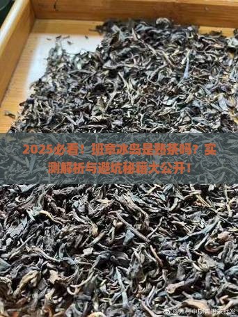 班章冰岛是熟茶吗