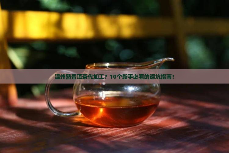温州熟普洱茶代加工