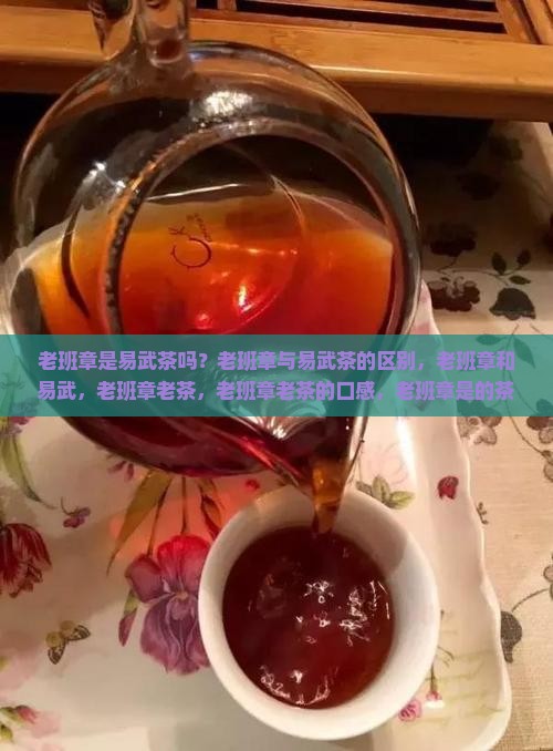 老班章是易武茶吗