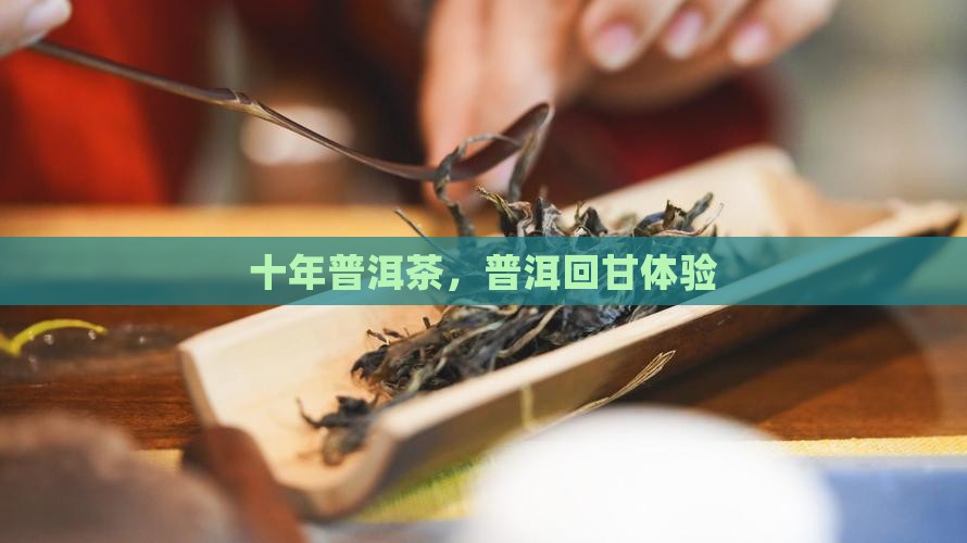 普洱茶十年回甘