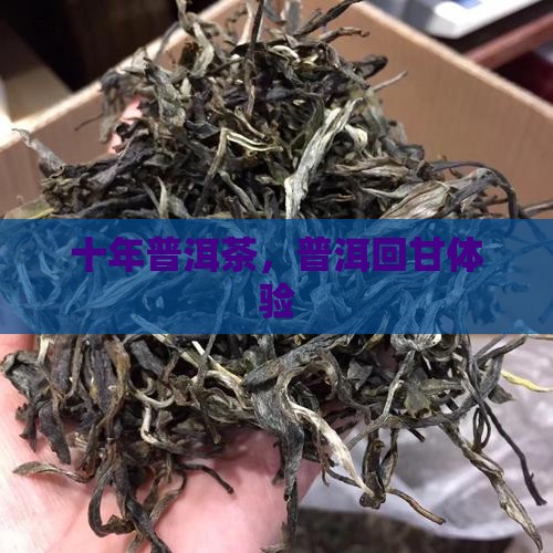普洱茶十年回甘