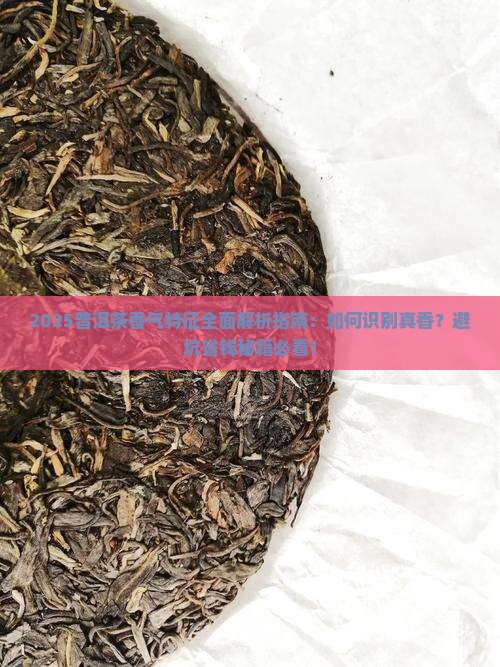 普洱茶香气特征是什么意思