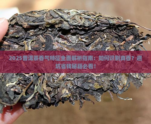 普洱茶香气特征是什么意思