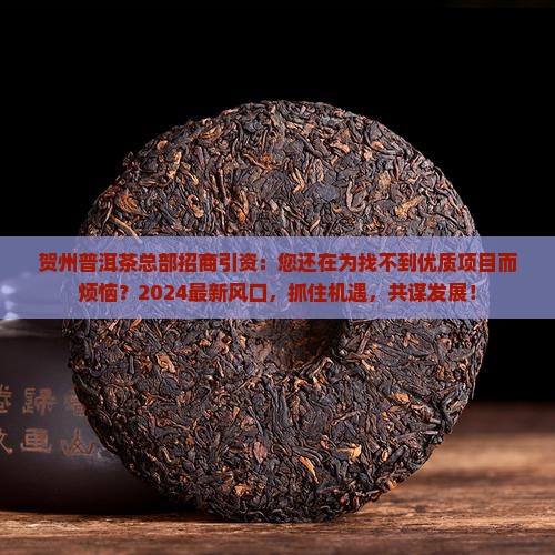 贺州普洱茶总部招商引资