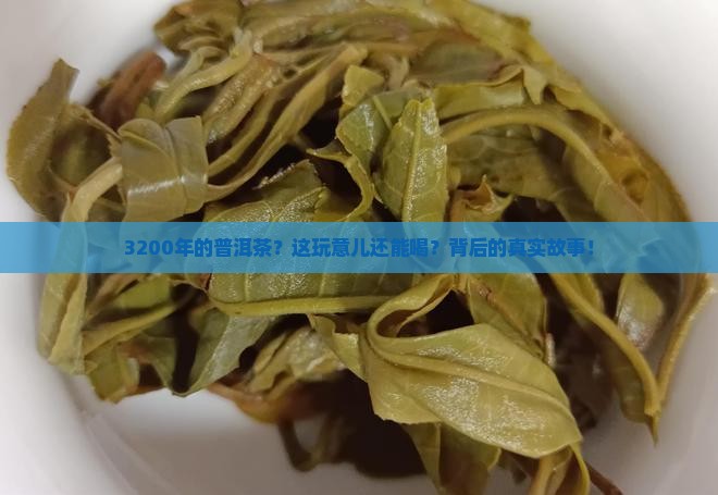 3200多年的普洱茶