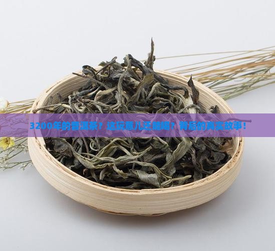 3200多年的普洱茶