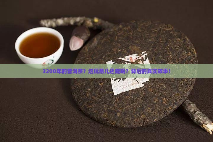 3200多年的普洱茶