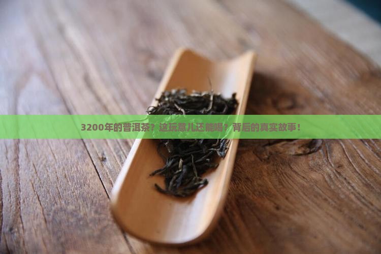 3200多年的普洱茶