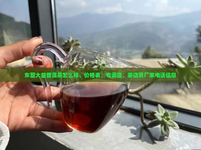 东营大益普洱茶