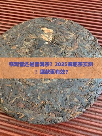 铁观音普洱茶哪个减肥好